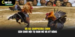 Đá Gà Campuchia Cwin - Sân Chơi Hội Tụ Đam Mê Và Kỹ Năng
